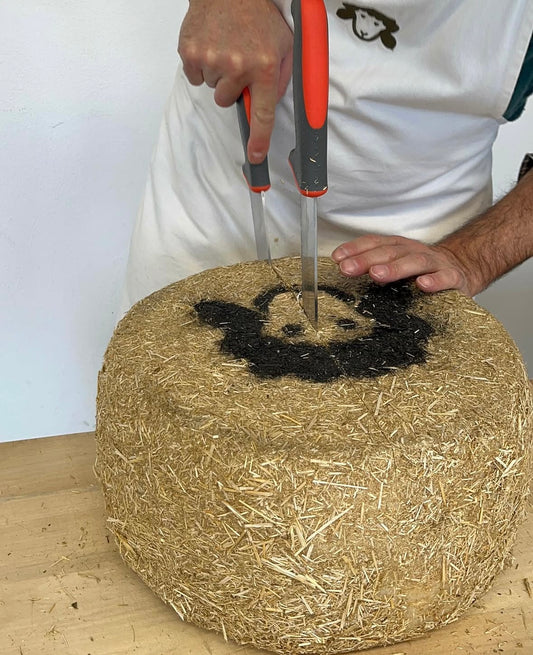 Pecorino “il Ballone”