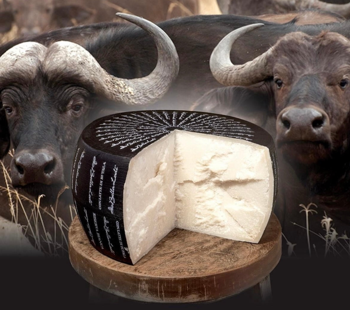 Bella Lodi Riserva Bianca con latte di Bufala 24M +